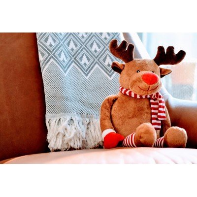 2022 Best gift Plush