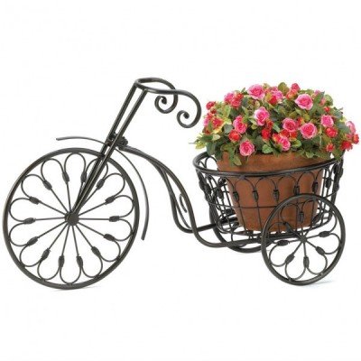 Iron Tricycle Plant Stand