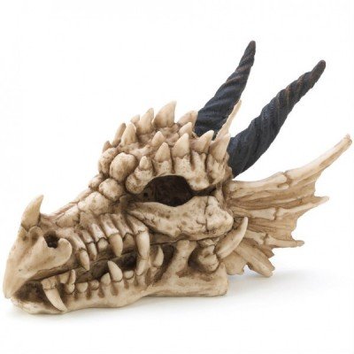 Dragon Skull Trinket Box